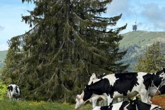 Auffahrts-Bike-Tour